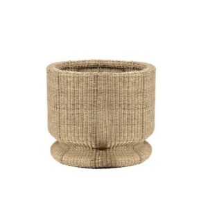 Romelu Planter
