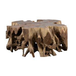 Barack Coffee Table Root